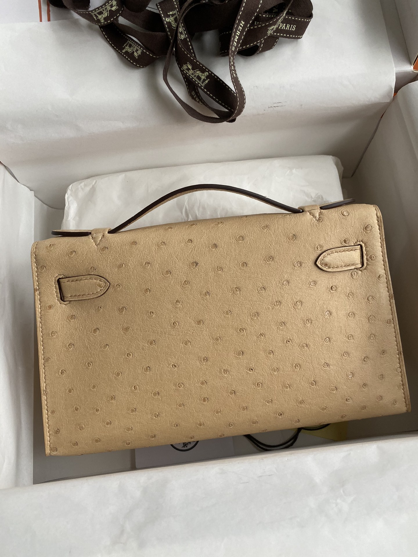 Hermes Mini Kelly Pochette 22cm Bag In Le Nude Ostrich Leather